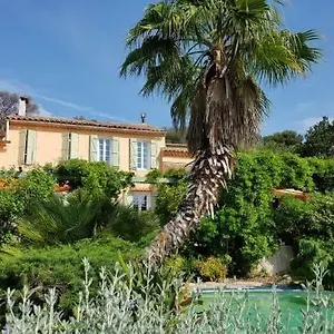 Séjour chez l'habitant Les Palmiers, Toulon